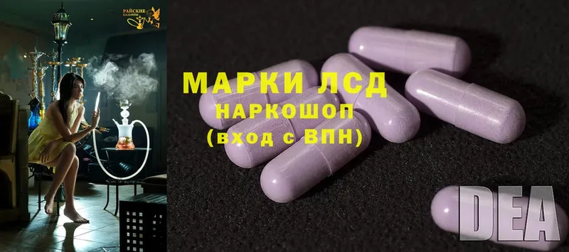 наркотики  Махачкала  ЛСД экстази ecstasy 